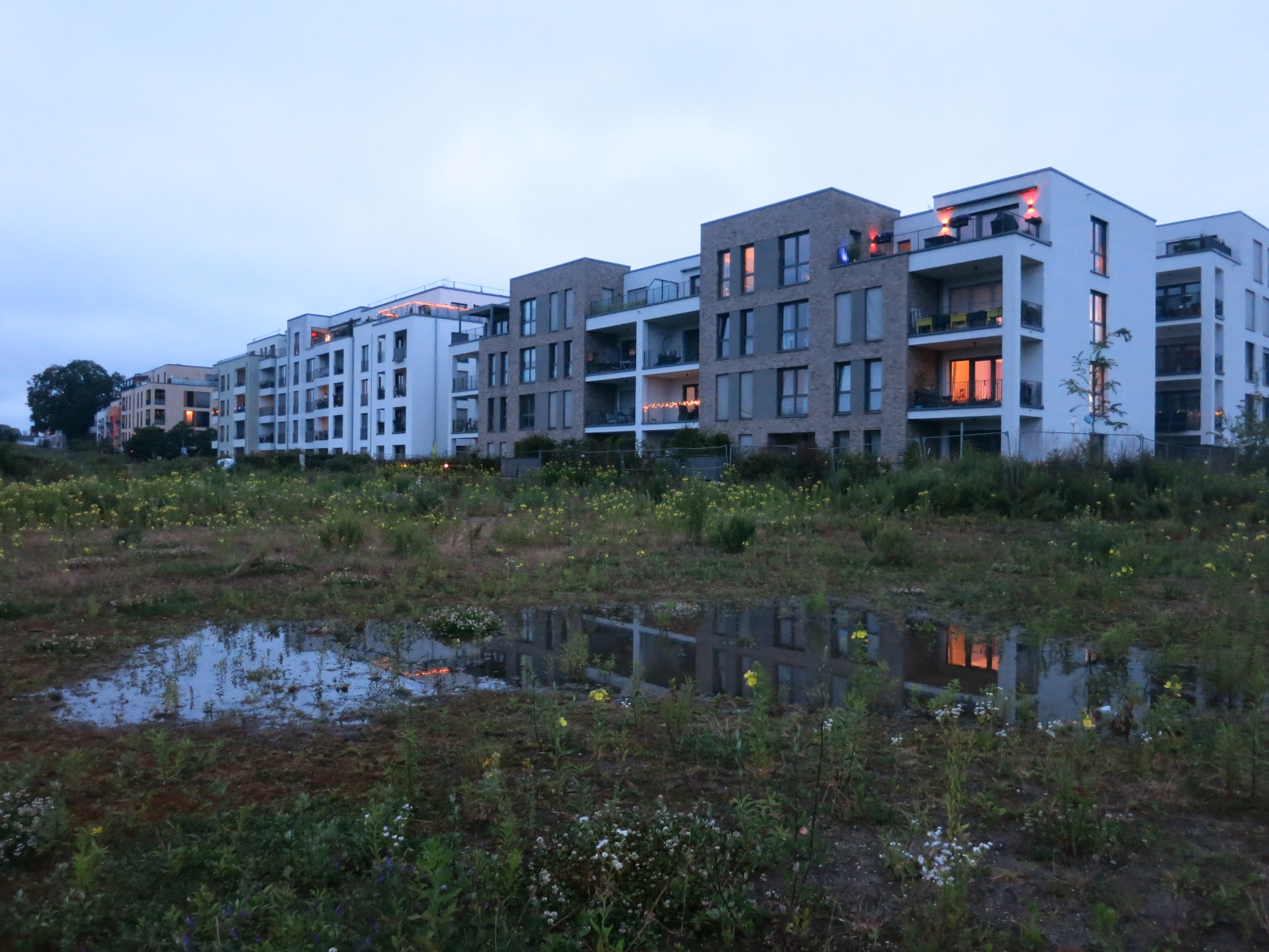 Angesammeltes Wasser im Jütenpark am 18.06.2024
